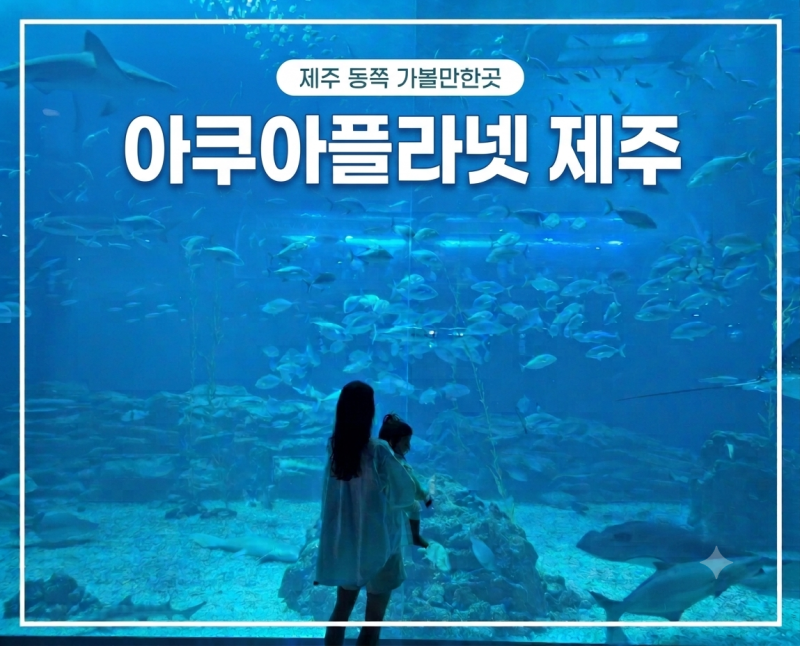 [제주도 실내 아이와 갈만한곳] 제주 아쿠아플라넷 아기랑 후기(할인/공연/부대시설)