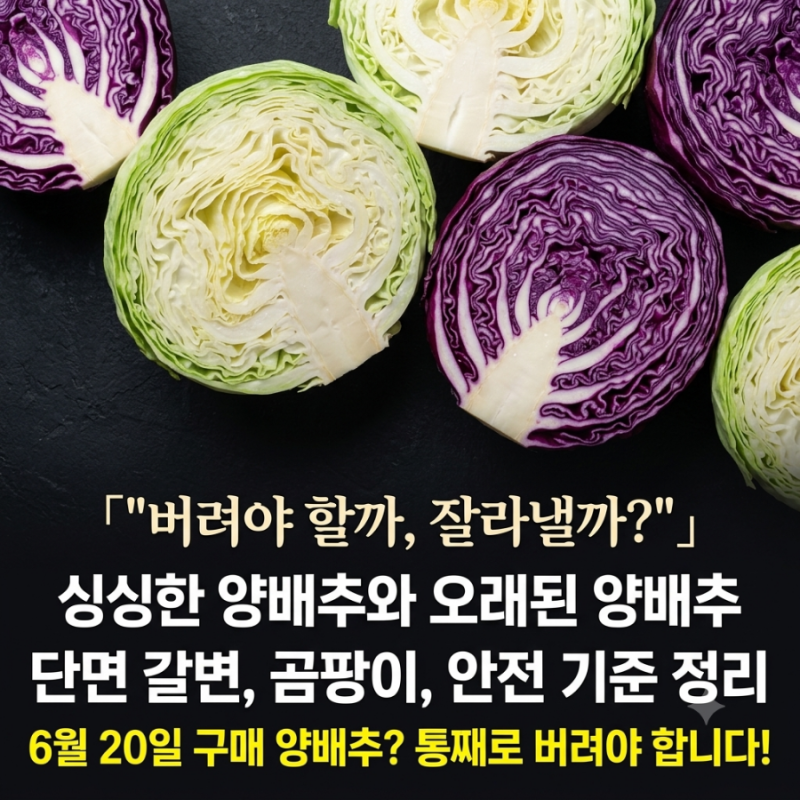 냉장고에 오래 둔 양배추 갈변, 잘라내고 먹어도 될까? (독소 논란 정리)
