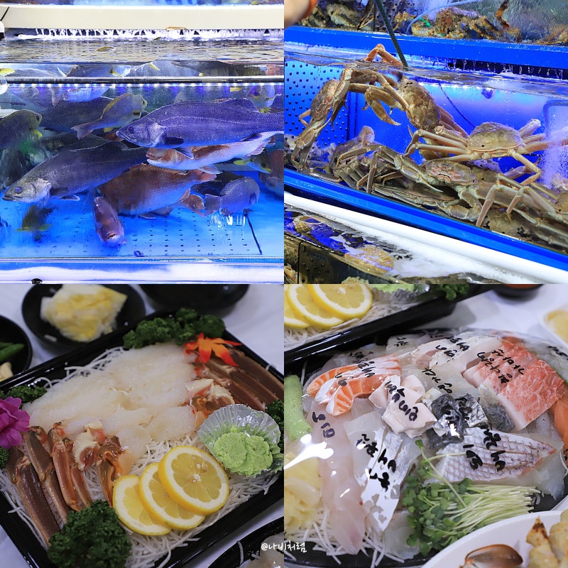 노량진수산시장 맛집 회포장 킹크랩 대게 후기