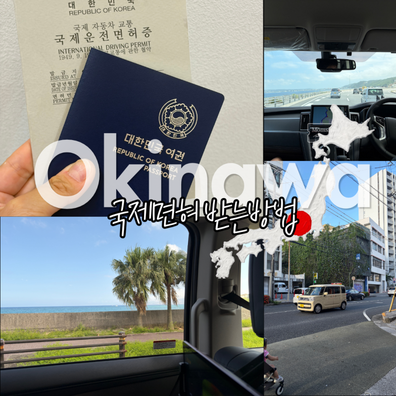 오키나와 렌트카 국제면허 발급받는 자격 방법 국내 운전면허증