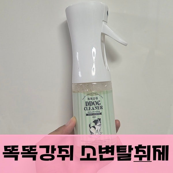 강아지탈취제 키릿 강아지 소변 냄새 제거에 써본 강아지요산제거제 후기