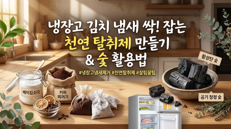 냉장고 김치 냄새 싹 잡는 천연 탈취제 만들기 및 숯 활용법