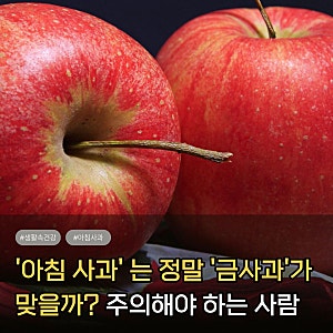 봉화사과 타임스퀘어 화제! 아침사과는 진짜 금사과일까? (사과 효능 및 보관법)