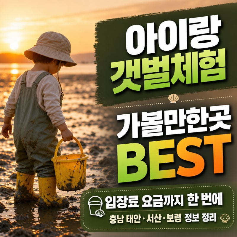 아이랑 갯벌체험하기 좋은 곳 ㅡ 위치, 준비물, 입장료 요금까지 알뜰하게 총정리