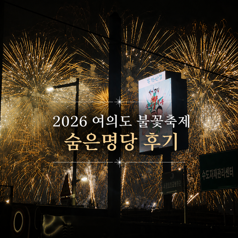 2026 여의도 불꽃축제 숨은명당 노량진 축구장 야구장 작년 성공 후기