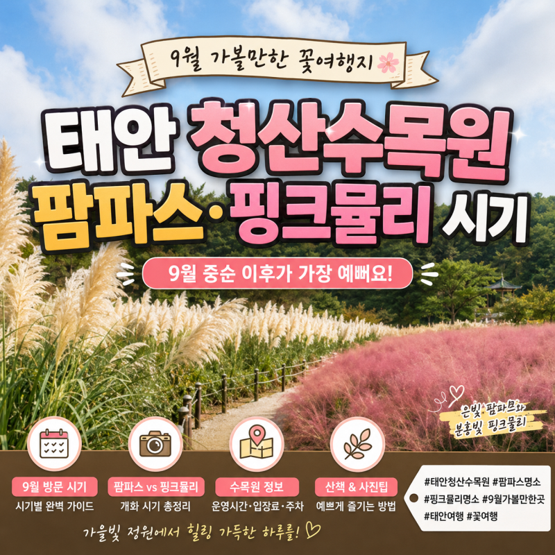 태안 청산수목원 팜파스·핑크뮬리 시기ㅣ9월 가볼만한 꽃여행지