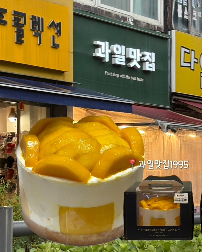 [서울 강서] 과일맛집1995 | 발산역 과일케이크 맛집, 서울의 성심당, 내돈내산 망고케이크 후....