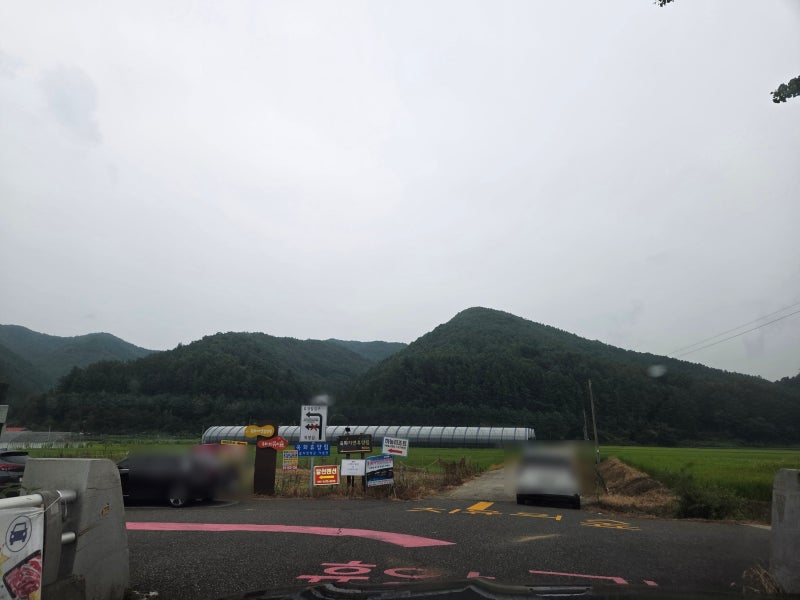 청주. 옥화자연휴양림 숲속의집 / 잣나무동