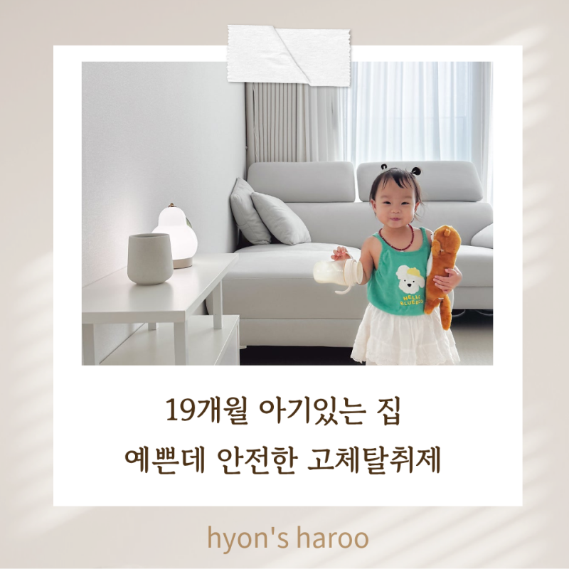 아기키우는집 BAS 오브제 탈취제 고체탈취제 추천