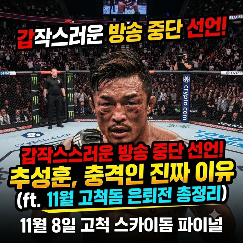 갑작스러운 방송 중단 선언한 추성훈 충격적인 진짜 이유 (ft. 11월 고척돔 은퇴전 총정리)