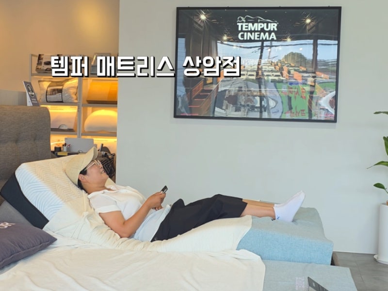 템퍼 매트리스 프로 모션베드 트윈 상암점 체험 후기