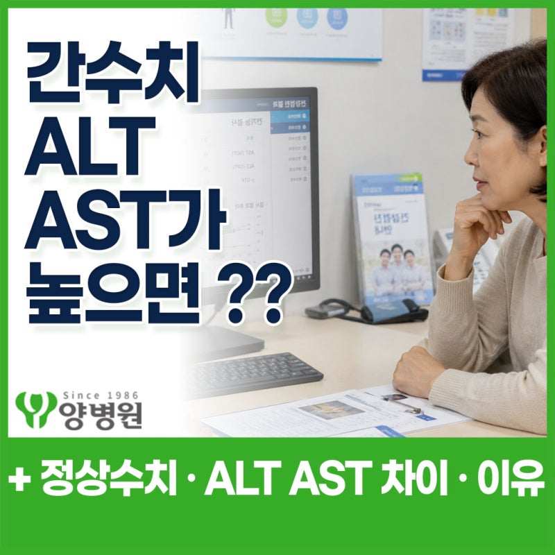 간수치 AST ALT가 높으면 간이 안 좋은 걸까요? 정상수치·차이와 높은 이유 | 강동구 건강검진....