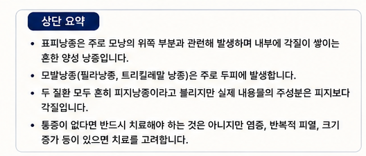 모낭에서 생기는 피부 낭종이란? 표피낭종과 모발낭종 차이 쉽게 알아보기