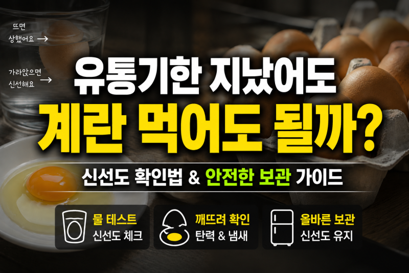 계란 유통기한 지났을 때 신선도 확인법(+ 올바른 계란 보관 팁)