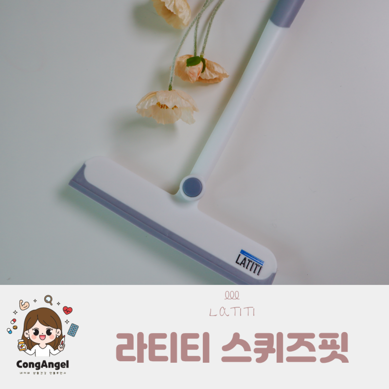 아파트 방충망 거실 창문청소 청소방법 창틀청소에 라티티 스퀴즈핏 듀얼 와이퍼