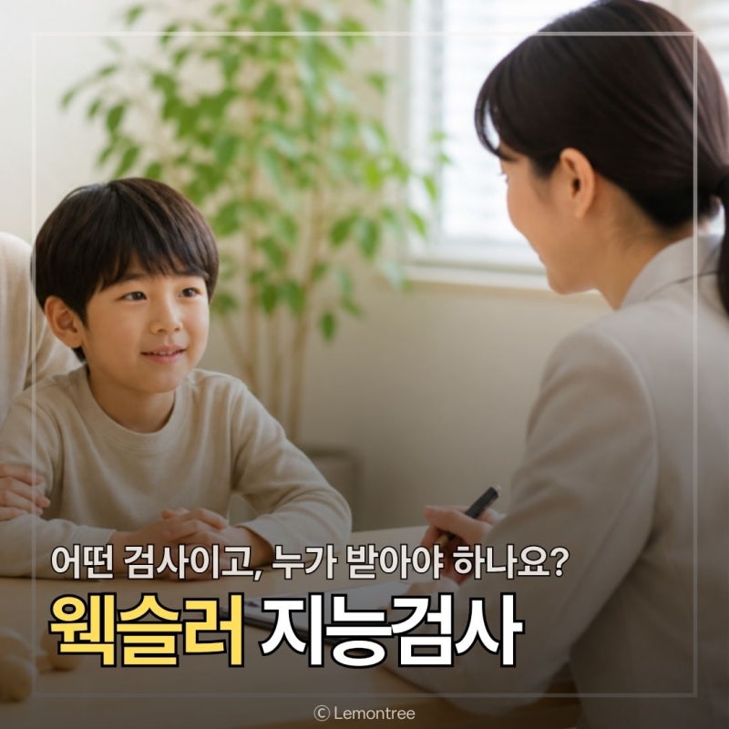 유아 어린이 웩슬러검사 받는 이유, 검사 내용과 보험적용 여부