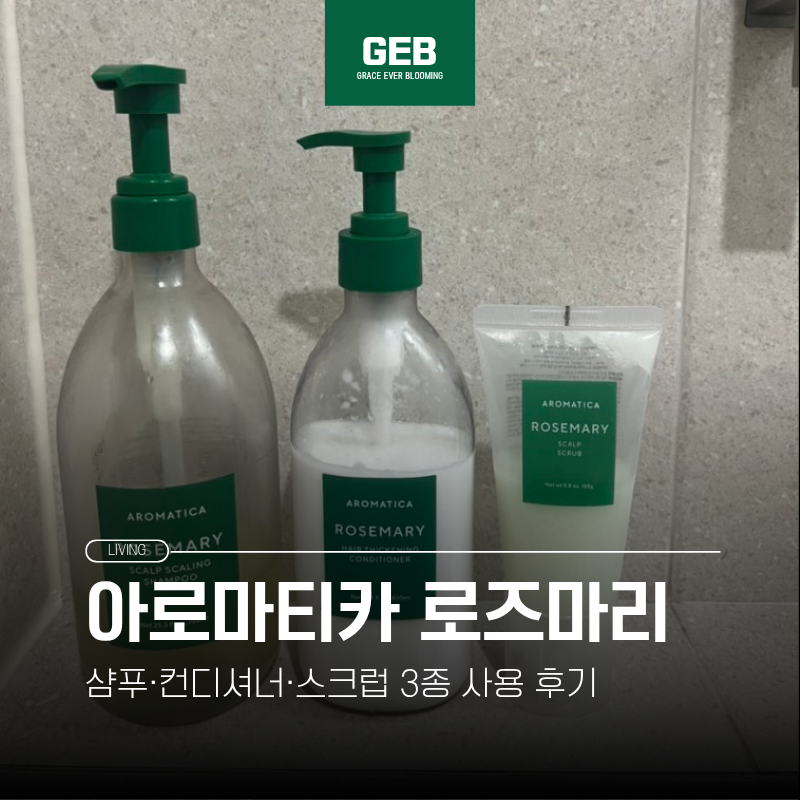 아로마티카 로즈마리 후기 | 샴푸·컨디셔너·스크럽 3종 사용기