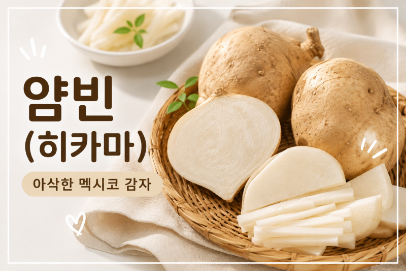 얌빈(히카마)이란? 아삭한 멕시코 감자 먹는법