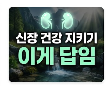 신장에 좋은 음식과 음료 과일 추천 콩팥 기능 살리는 식단 총정리