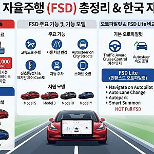 테슬라 FSD 가격,구독료,가능 모델부터 FSD Lite,한국 자율주행 현황 총정리