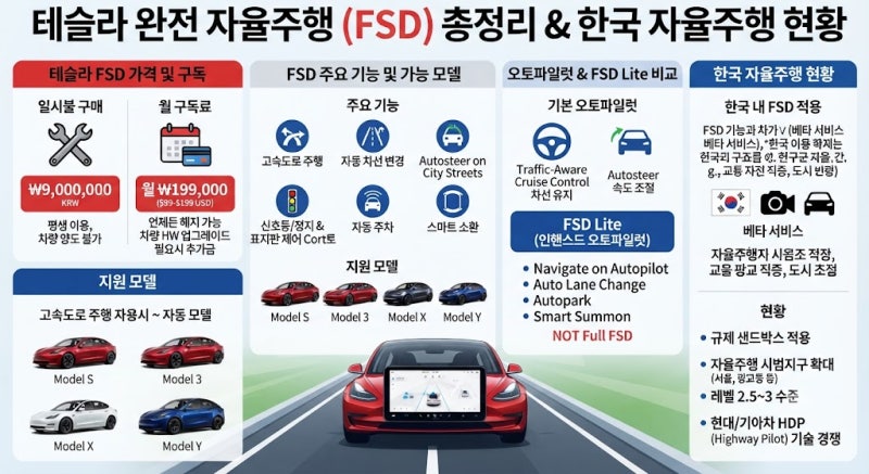 테슬라 FSD 가격,구독료,가능 모델부터 FSD Lite,한국 자율주행 현황 총정리
