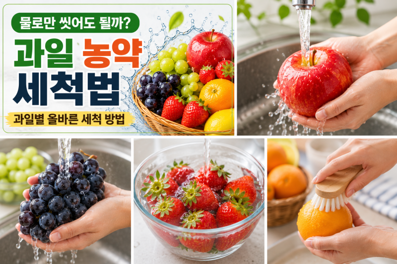 과일 농약 세척법, 물로만 씻어도 될까? 과일별 올바른 세척 방법