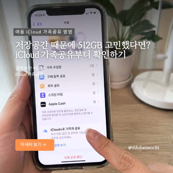 아이클라우드 가족공유 하는 방법, 아이폰17 512GB 사려다 Pro 산 이유,