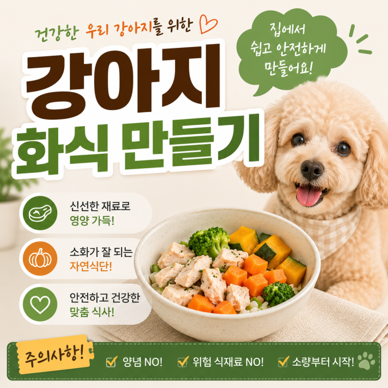 강아지 화식 만들기, 집에서 시작할 때 꼭 알아야 할 재료와 급여 방법