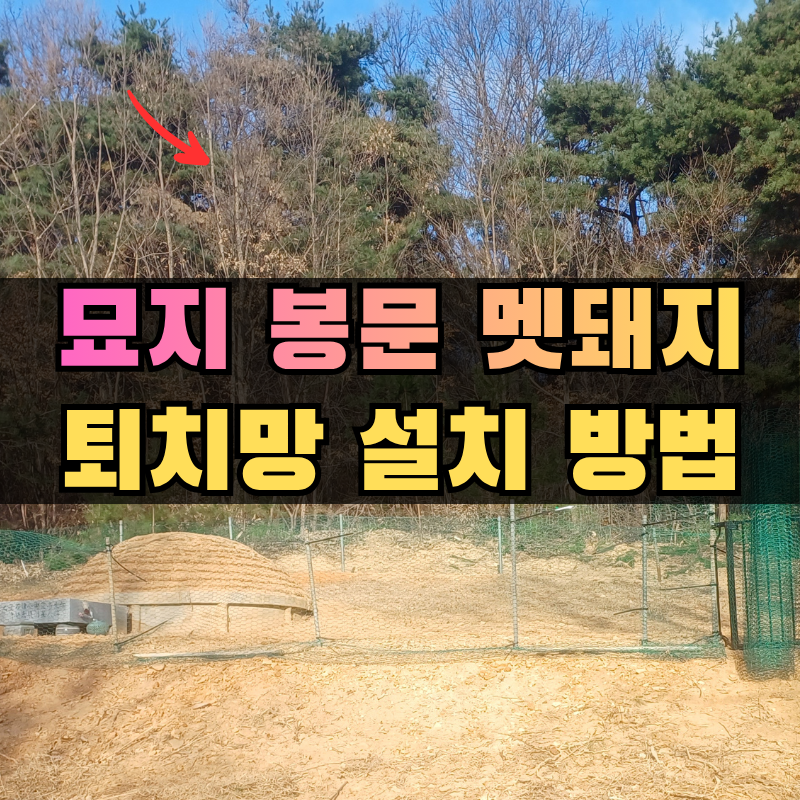 멧돼지 퇴치, 묘지 봉분 산짐승 피해 원인과 망 설치 방법 정리