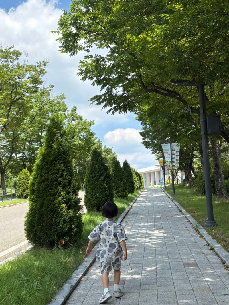 대구 아이와 가볼만한곳 대구어린이세상｜예약부터 주차, 입장료까지 실내 체험 후기