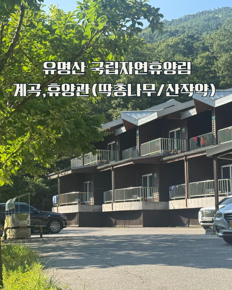 유명산자연휴양림 계곡, 휴양관 딱총나무·산작약 객실 후기와 유명산 춘천숯불닭갈비 맛집