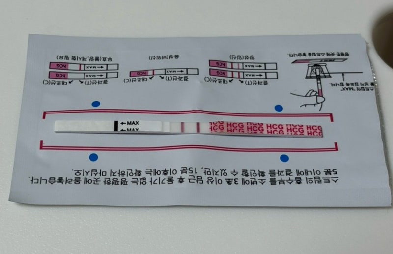 [임신준비] 8월 16일~19일 임테기 진하기 비교, 피검사 결과