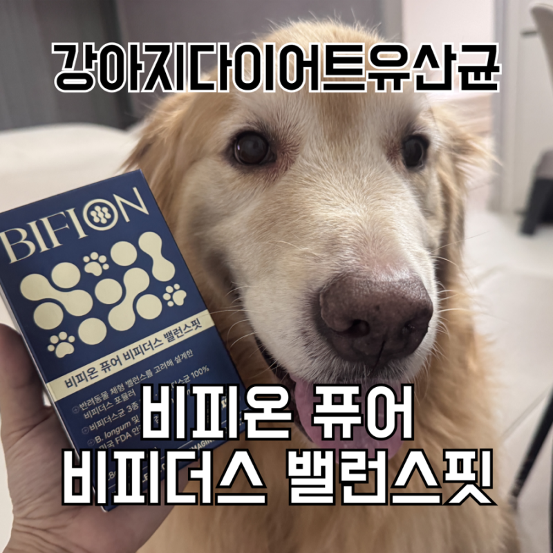 강아지다이어트유산균비피온, 고양이다이어트유산균비피온 건강한 유산균 영양제 비피온 ....