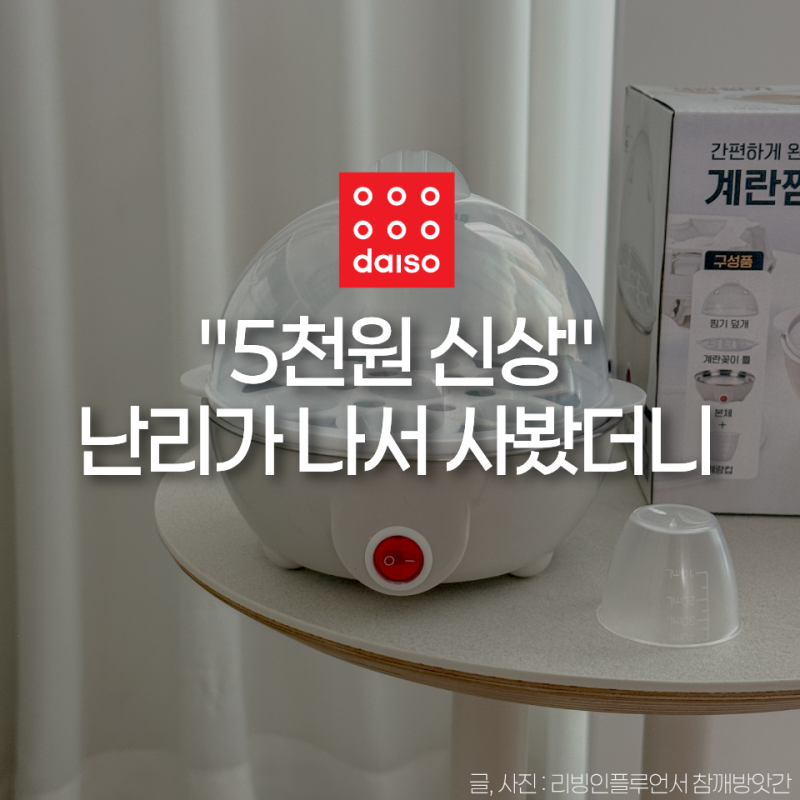 “5천원에 이게 말이 되나..” 화제의 다이소 신상 직접 써보니