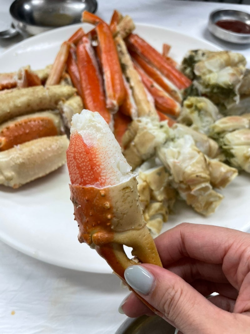영덕 대게 맛집 강구항 동광어시장 노가네수산｜대게 1.5kg 내돈내산 후기