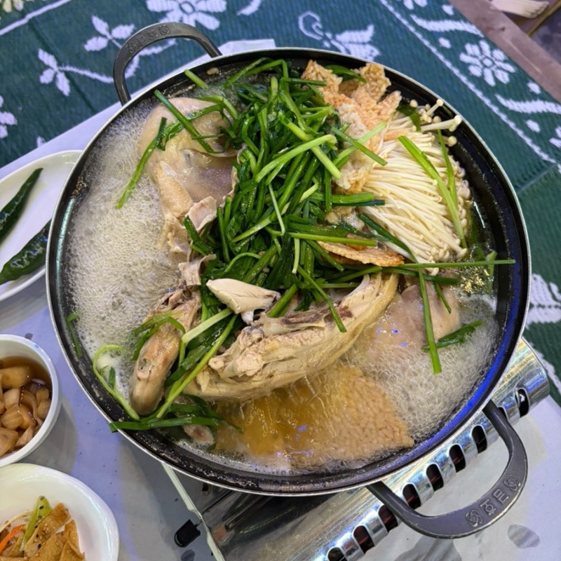 양주 장흥계곡 식당 이집이좋겠네 애견동반 물놀이 백숙 맛집