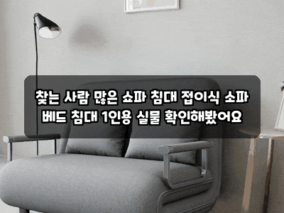 찾는 사람 많은 쇼파 침대 접이식 소파 베드 침대 1인용 실물 확인해봤어요