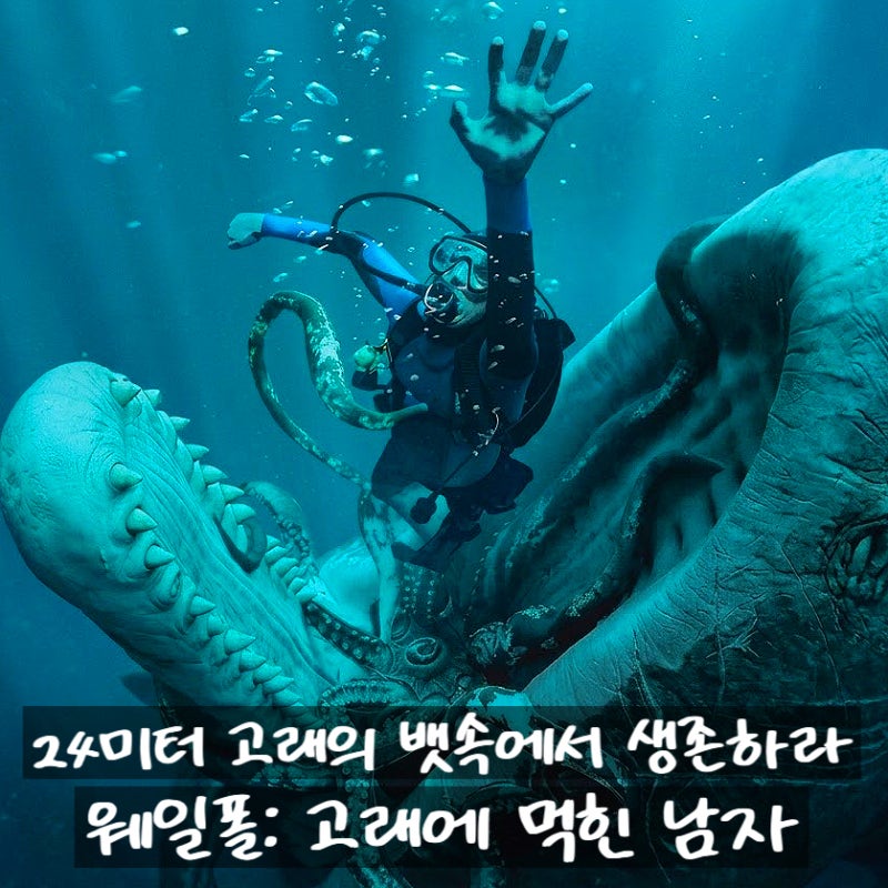 향유 고래의 뱃속에서 생존하라 영화 메인 예고편 공개 정보 출....