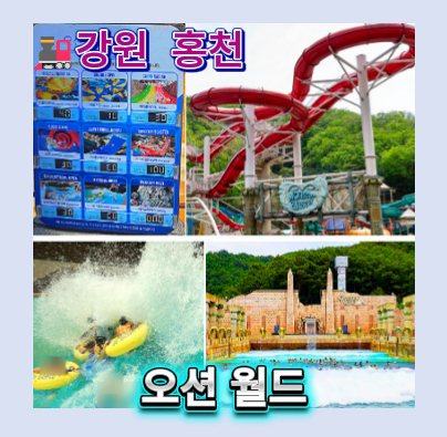 홍천 오션월드 오픈런 꿀팁｜ 홍천 오션월드 가격 입장권 준비물 놀이기구 동선 + 숙소까지