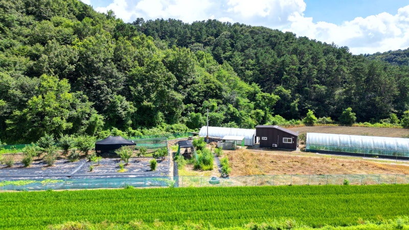 공주 이인면 730평 주말농장 매매｜농막·비닐하우스 갖춘 세종 근교 농장