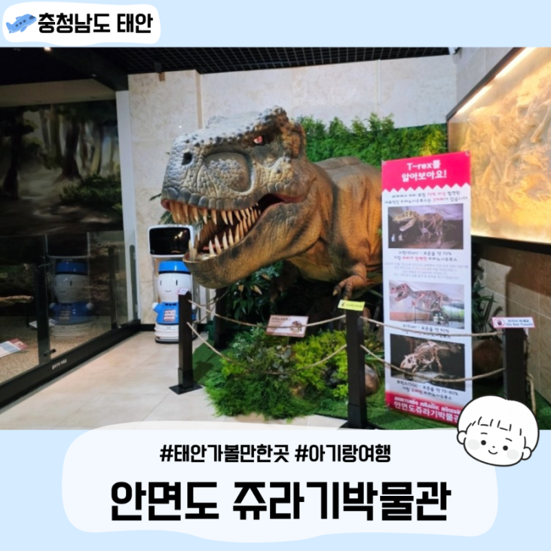 태안 아기랑 가볼만한곳 안면도 쥬라기박물관 수유실 입장료 할인