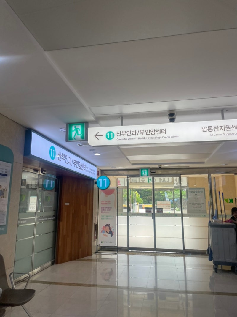 30대 초반 자궁경부 원추절제술 후기①(HPV 58번 지속 감염과 CIN2 진단으로 원추절제술 결정까....