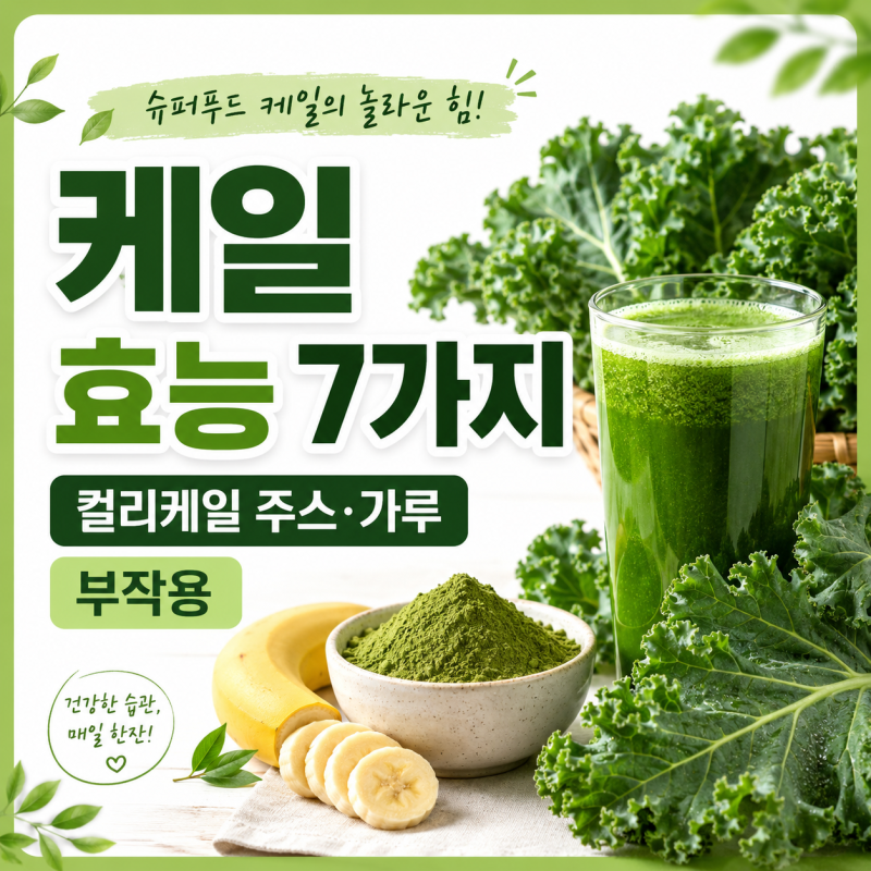케일 효능 7가지와 부작용, 컬리케일 주스·가루 먹는 법