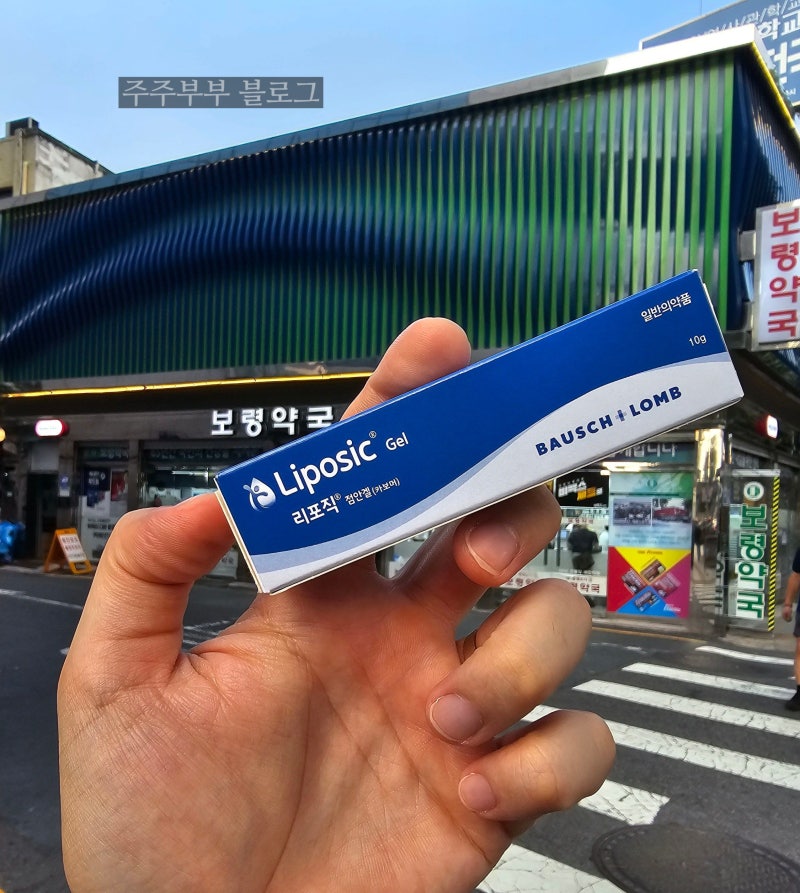 리포직 파는곳 종로약국 가격 비교 보령약국 새종로약국 종로중앙약국