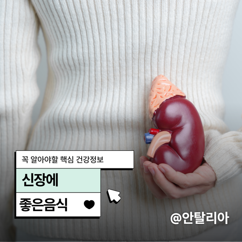 신장에좋은음식 완벽 가이드 5가지 식단 알아보자