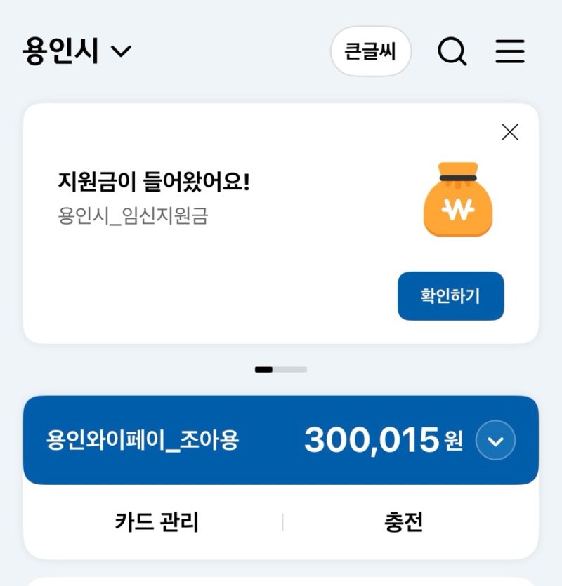 용인시 임신지원금 30만원 신청 방법 및 수령 후기 I 용인시 임산부 혜택 I 맘편한 임신서비스....