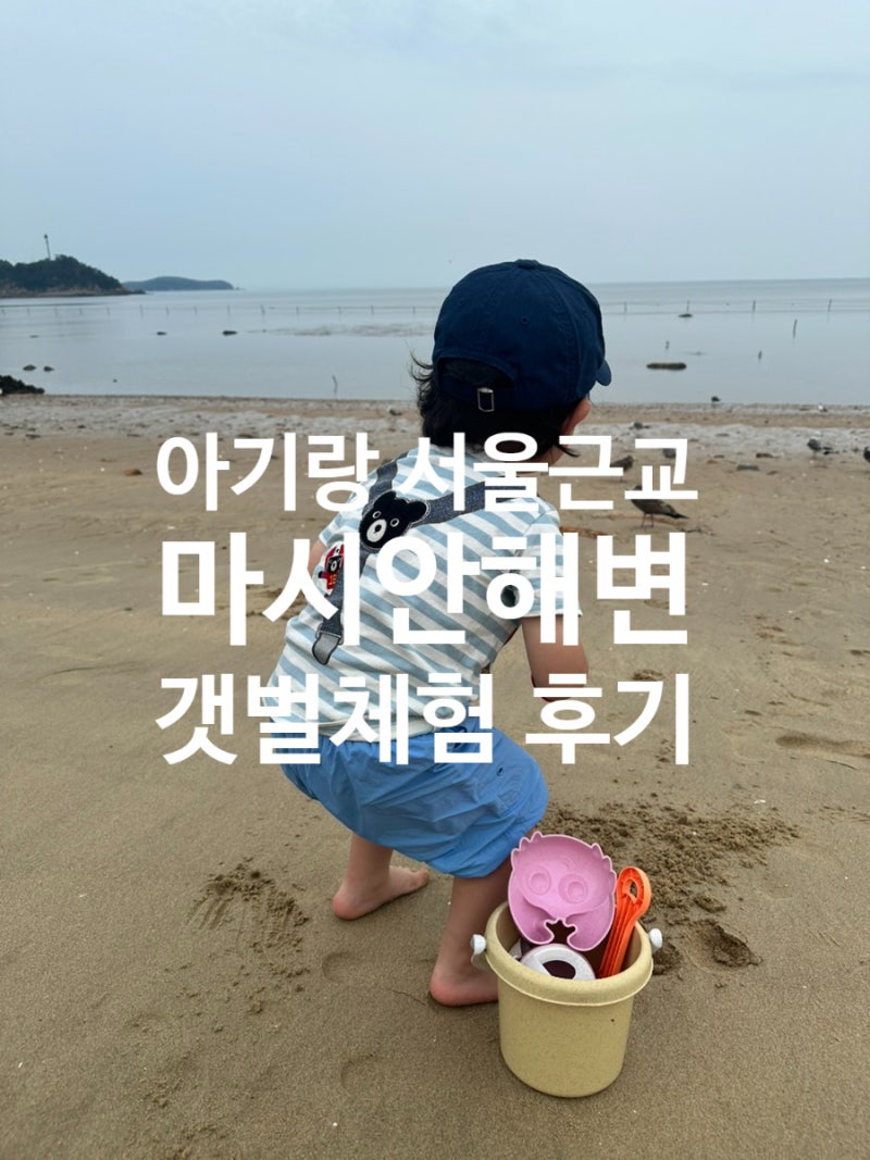 서울 근교 갯벌추천 영종도 마시안해변 아이랑 갯벌체험 후기