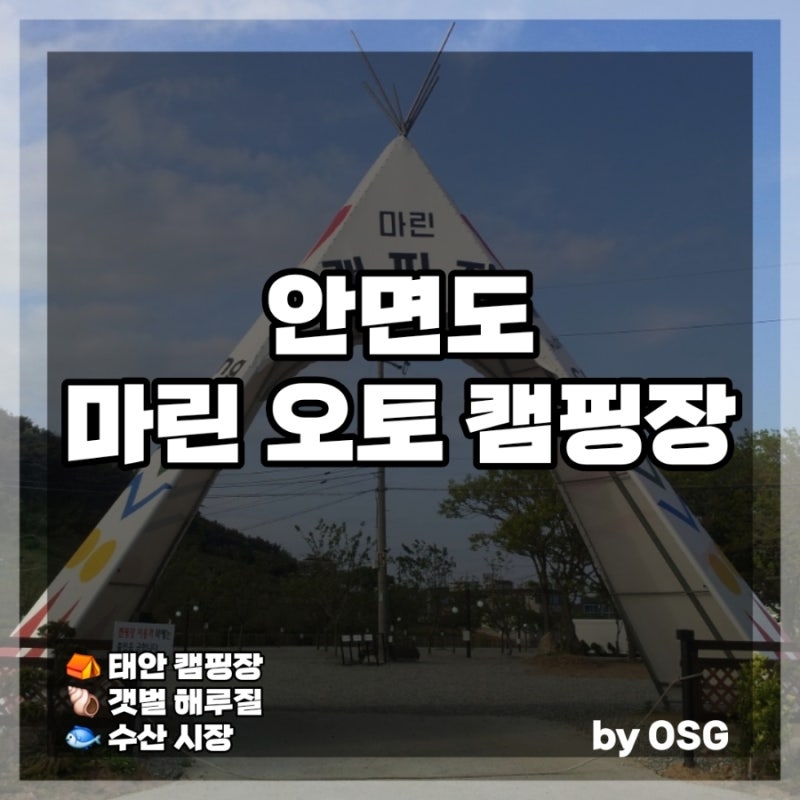 [안면도 마린 오토 캠핑장] 백사장 어촌계 수산시장에서 제철 꽃게, 가리비, 갑오징어회 구매....