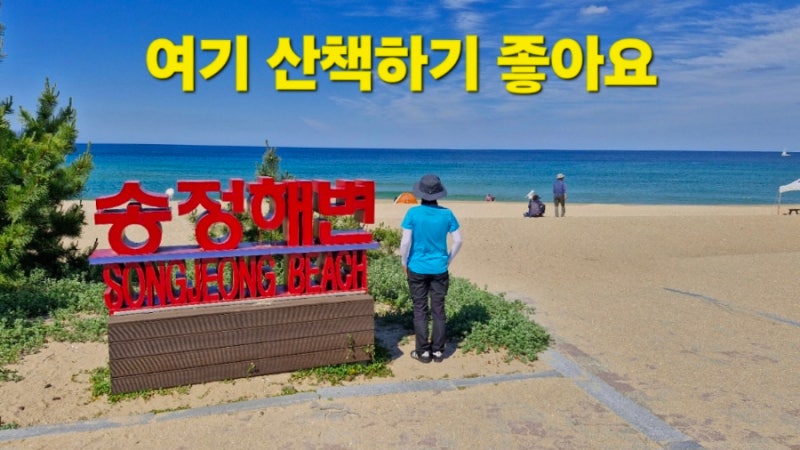 강릉 해변 추천 송정해수욕장
