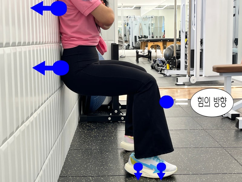 [동묘앞역 헬스장] 무릎 부담 없는 하체 운동! 월싯 힐 레이즈 자극법